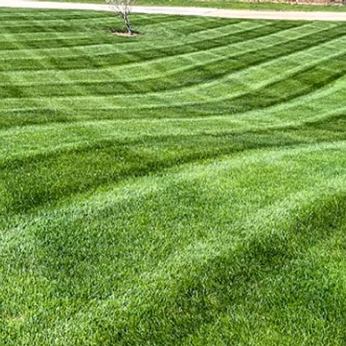 lawn-maintenance