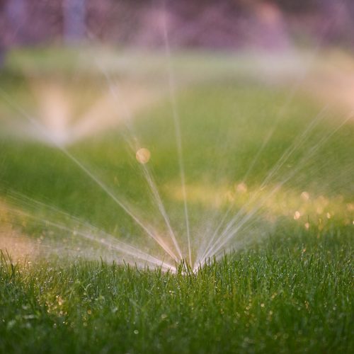 Lawn sprinkler spaying water over green grass. Morning time.